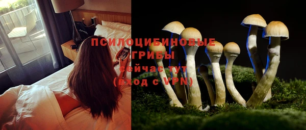 дурь Баксан