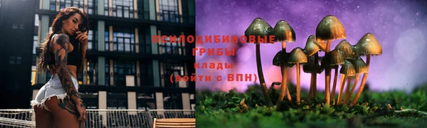 прущие крисы Беломорск
