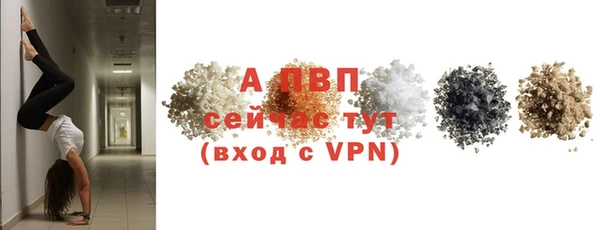 прущие крисы Беломорск